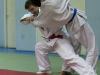 03112011-judo_-15